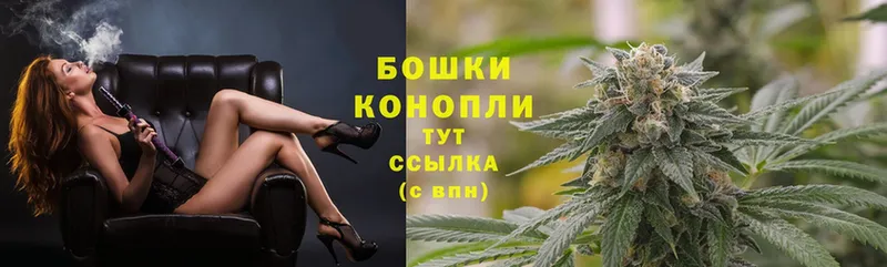 Бошки марихуана OG Kush  купить  сайты  Гаврилов-Ям 